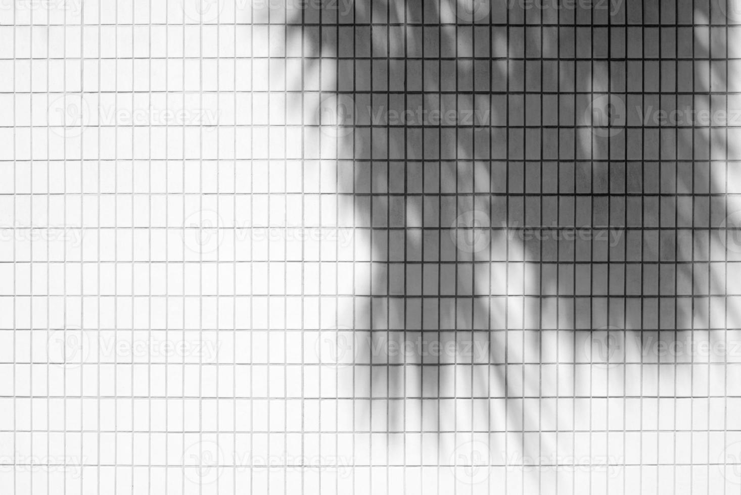 White Tile Wall with Coconut Leaves Shadow Background. photo