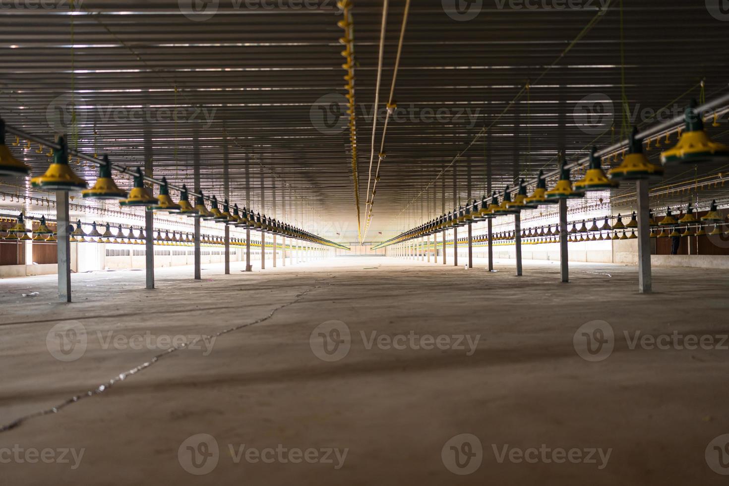 Empty chicken farm building with feeders, Heaters and poultry watering system photo