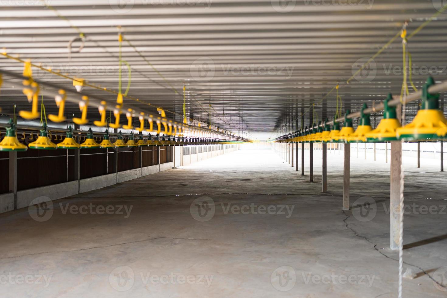 Empty chicken farm building with feeders, Heaters and poultry watering system photo