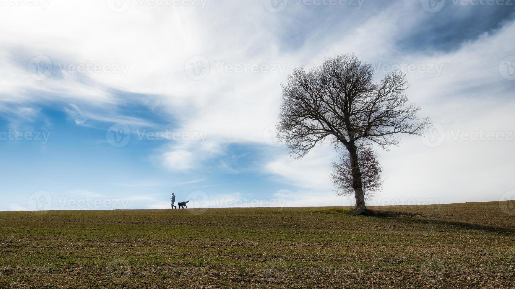 Woman with her dog walking in nature photo