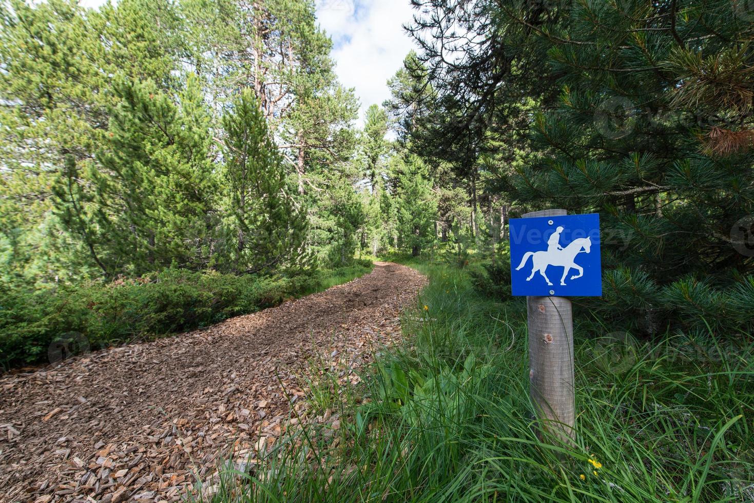 trail for horses photo