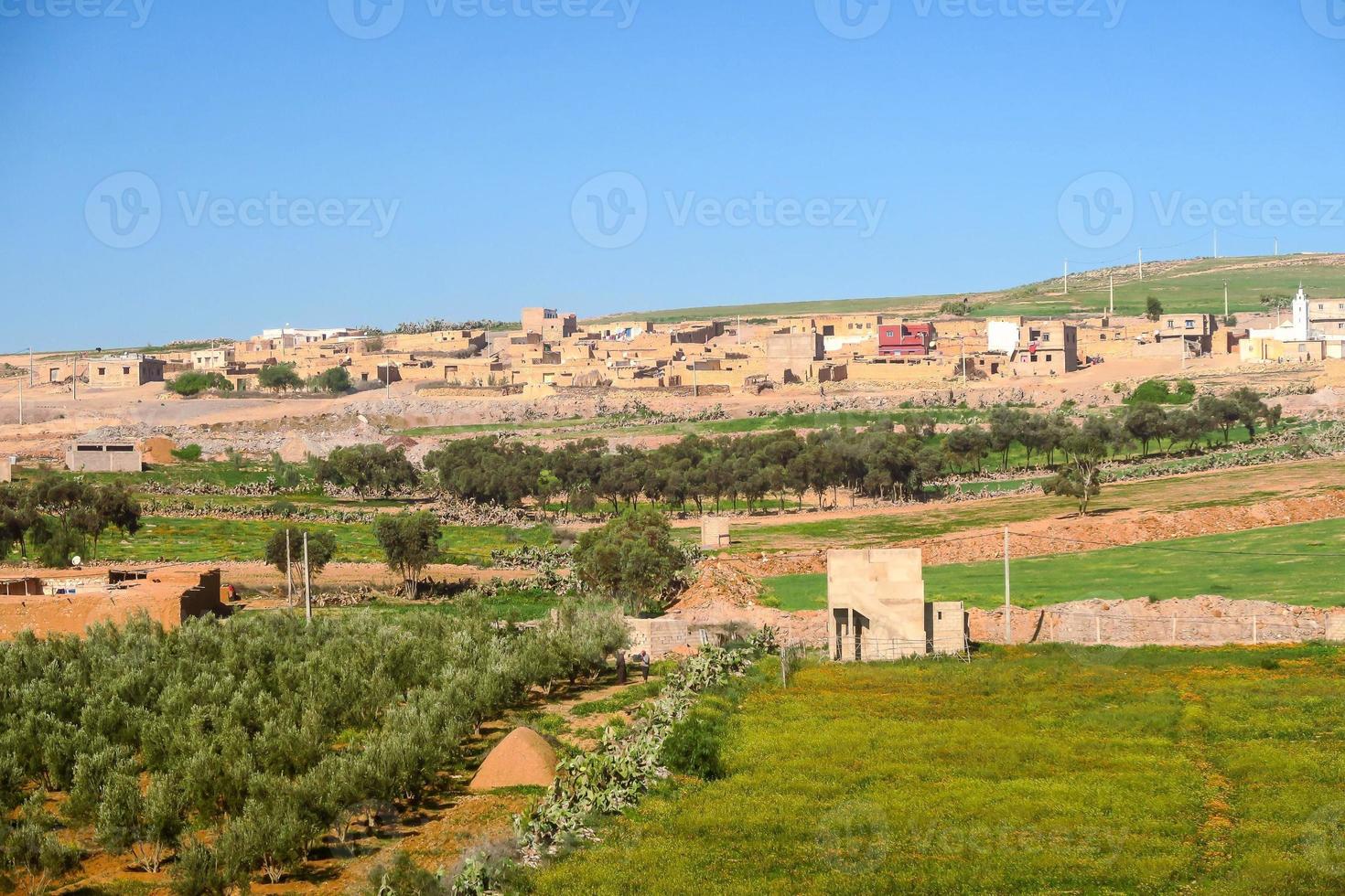 Landscape field view photo