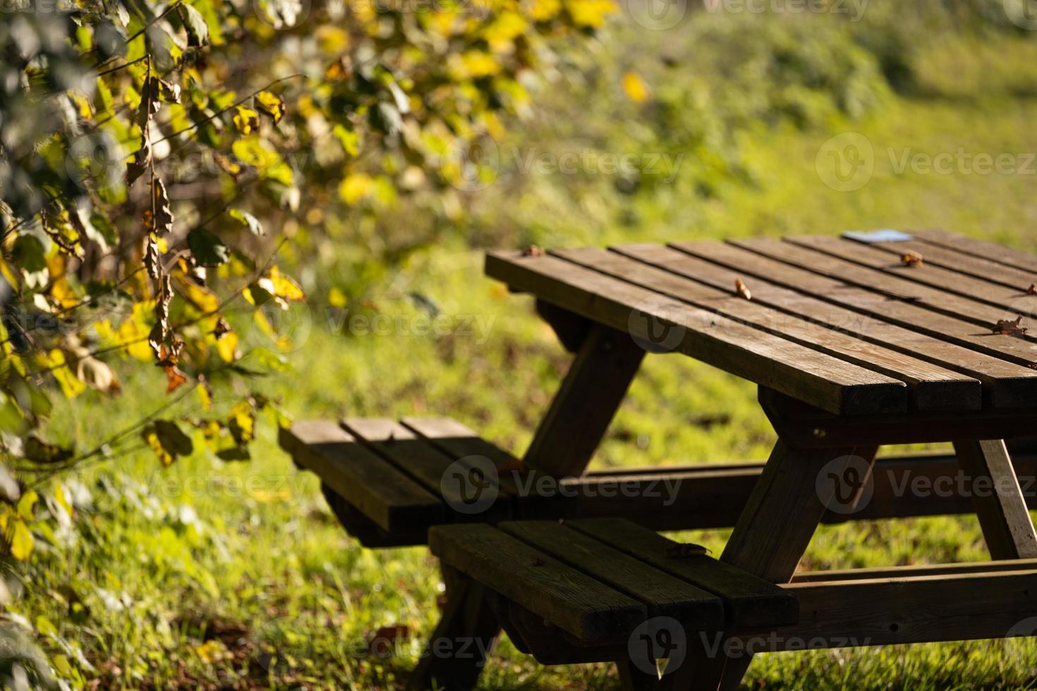 Rest place in park, picnic table in peaceful surrounding photo