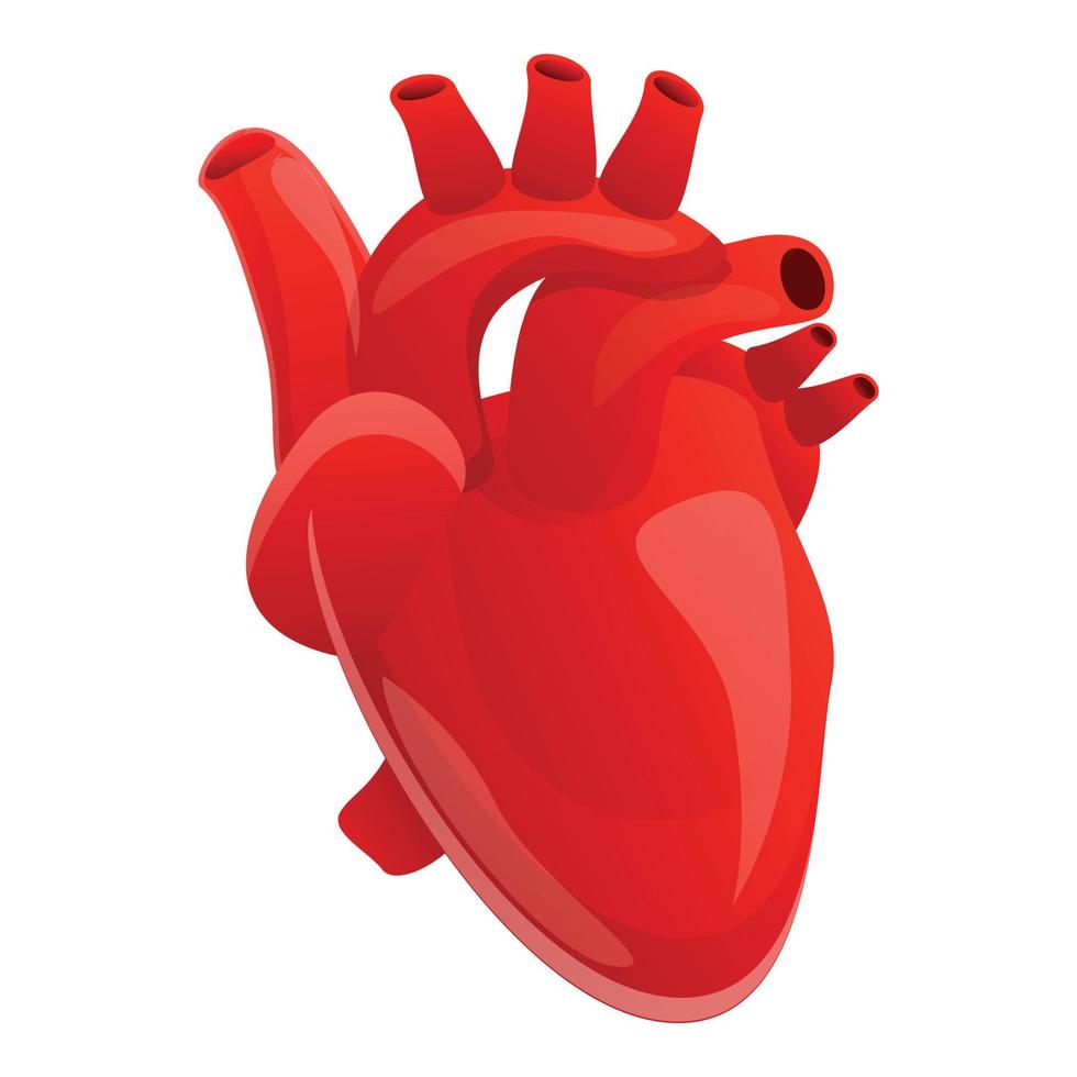 Human heart icon, cartoon style vector