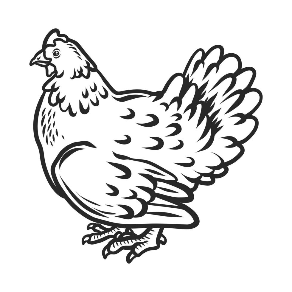 Chicken icon, hand drawn style vector