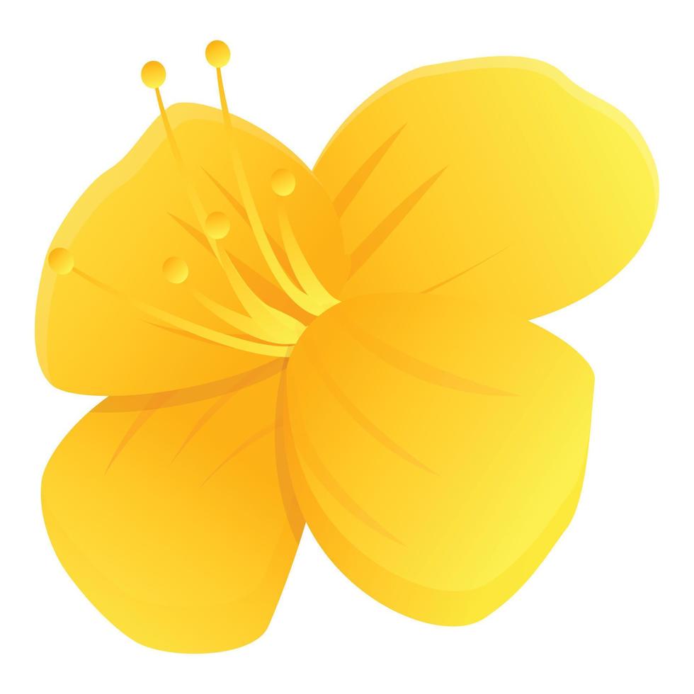 Celandine wild flower icon, cartoon style vector