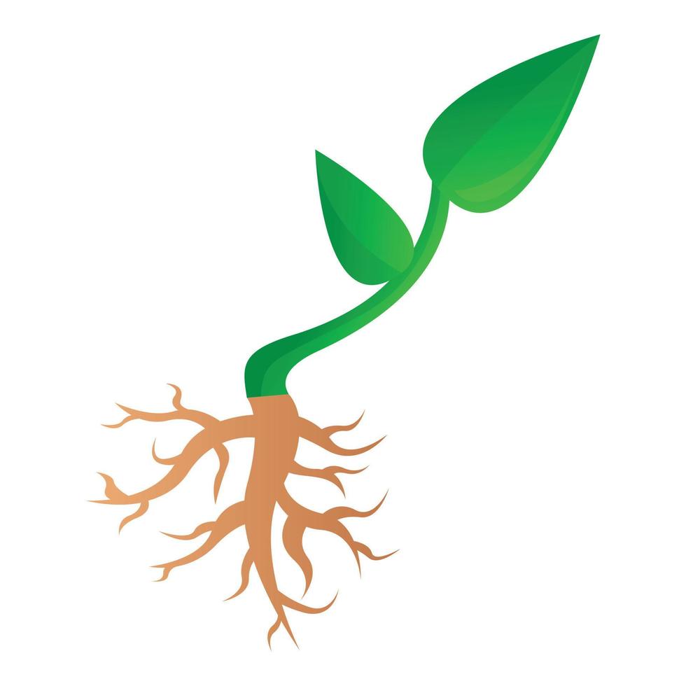 Farm soybean plant icon, cartoon style vector