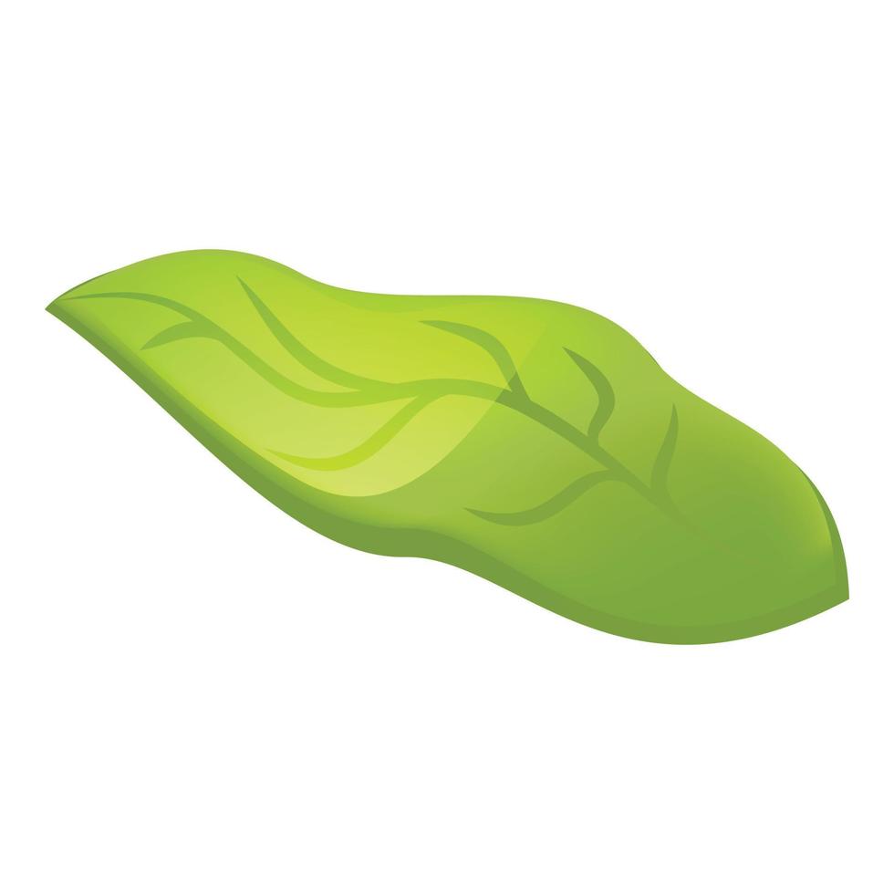 Camellia leaf icon, cartoon style vector