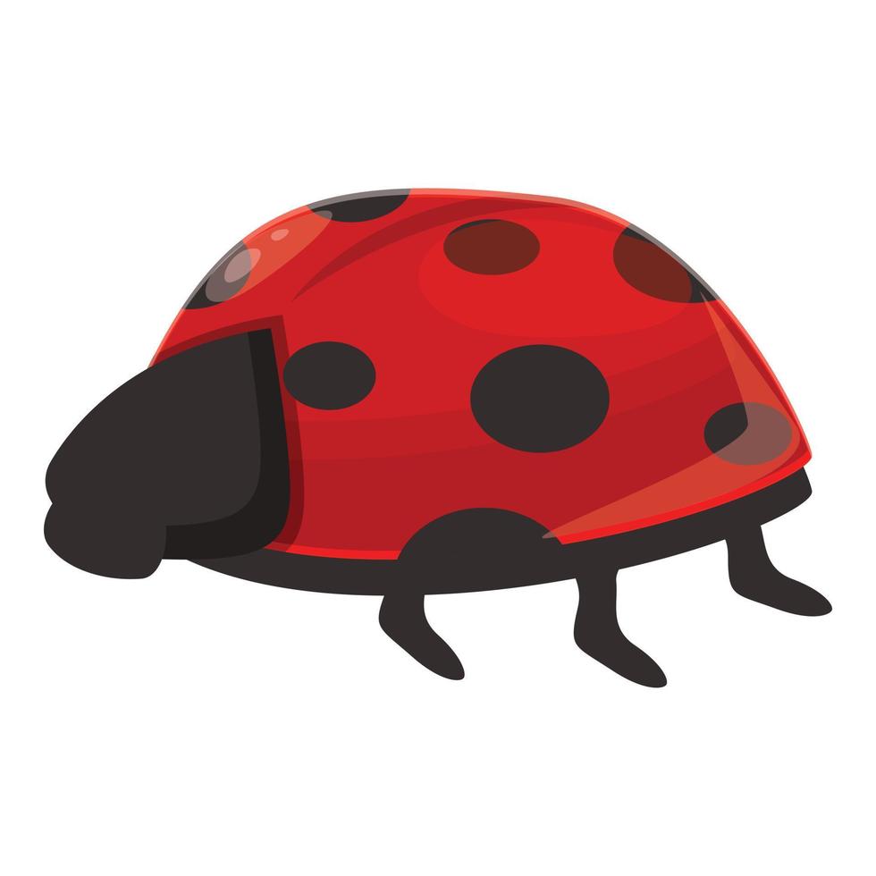 Spotted ladybug icon cartoon vector. Ladybird beetle vector