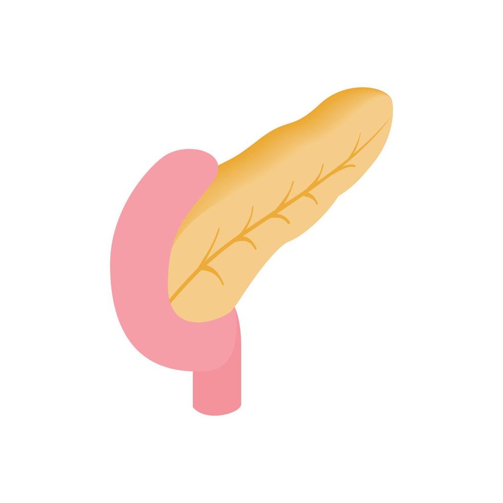 Pancreas isometric 3d icon vector