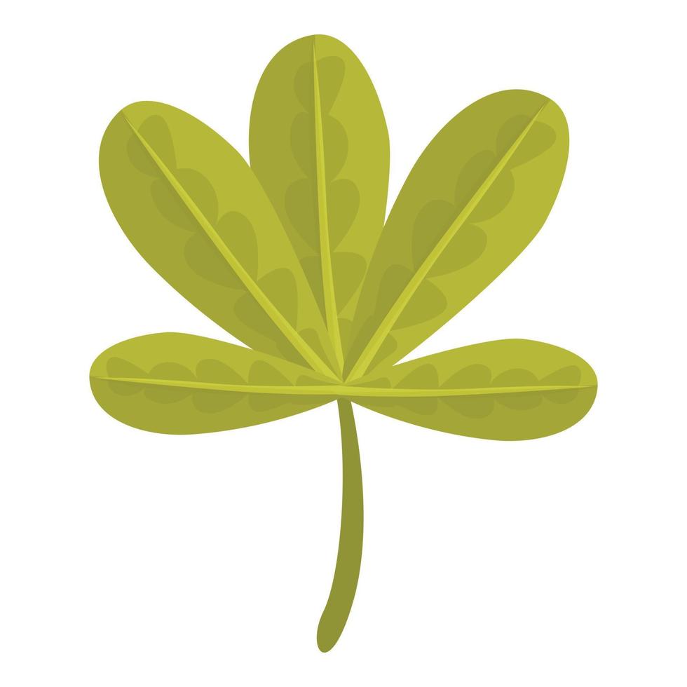 Baobab leaf icon, cartoon style vector