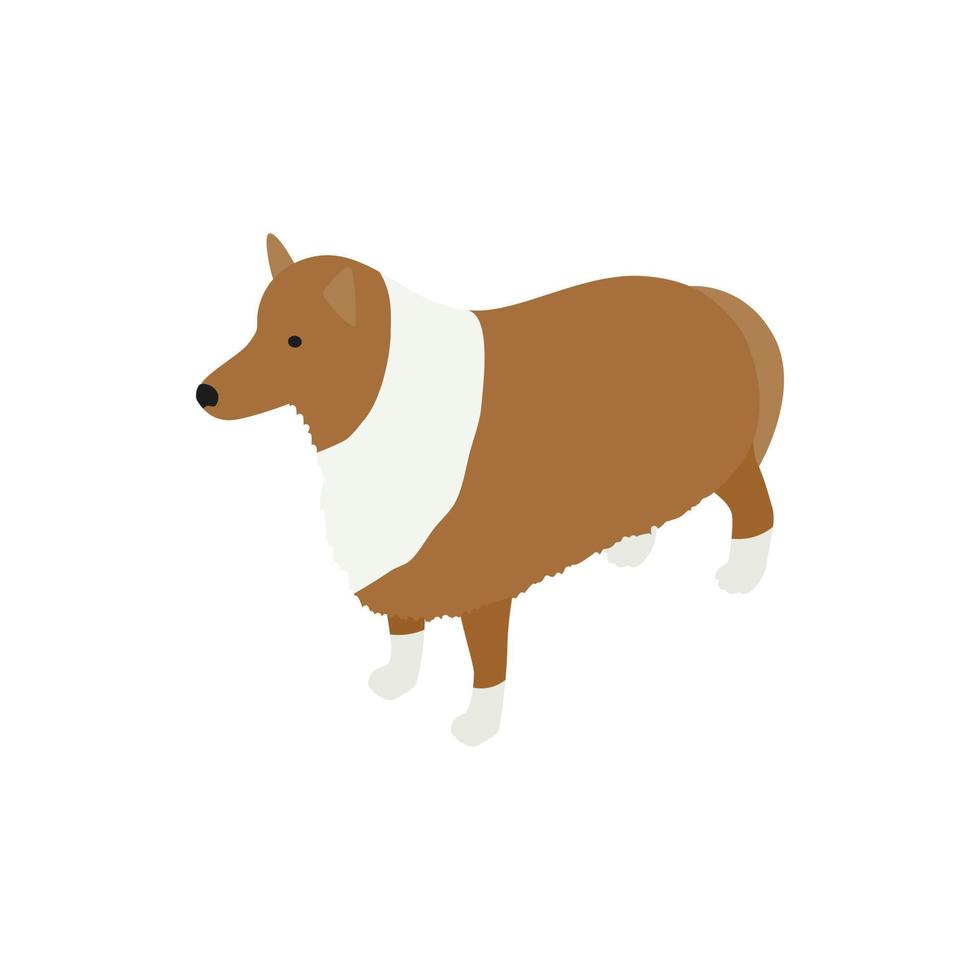 Collie dog icon, isometric 3d style vector