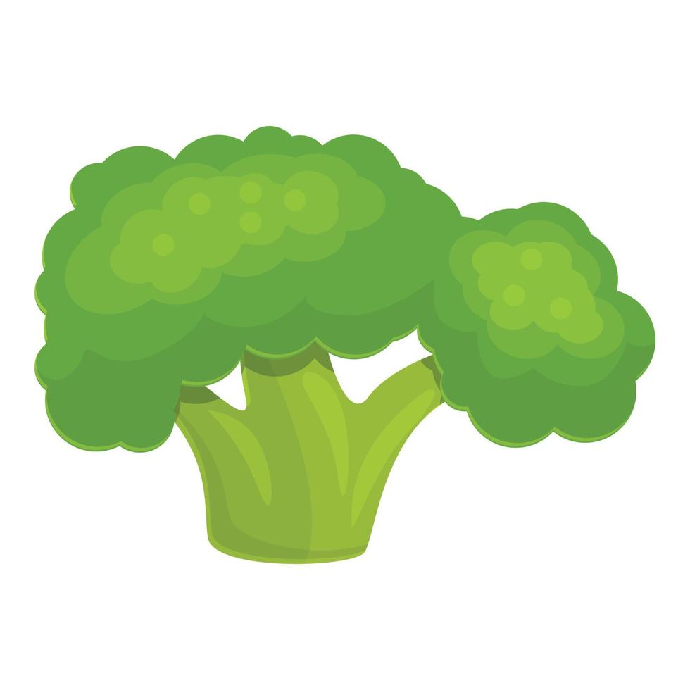 Eco broccoli icon, cartoon style vector
