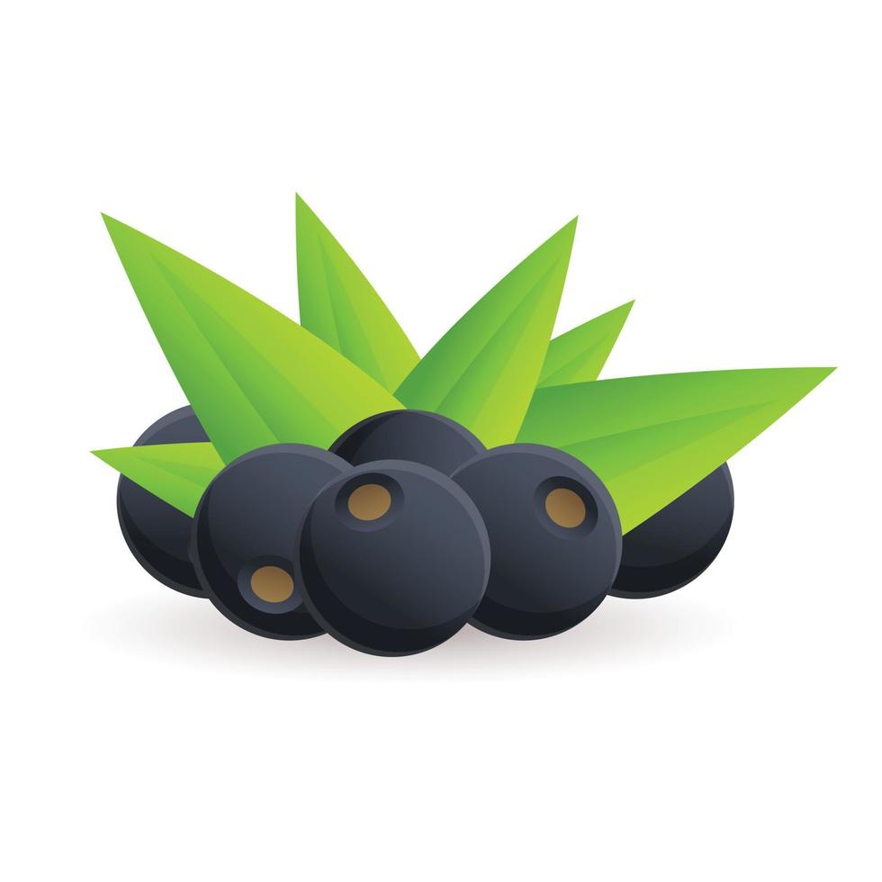 Acai berry icon, cartoon style vector