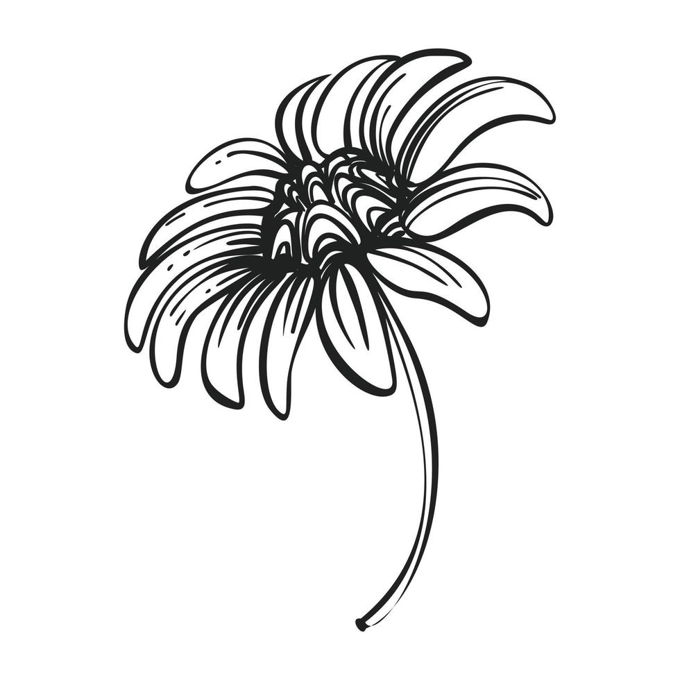 Bio chamomile icon, simple style vector