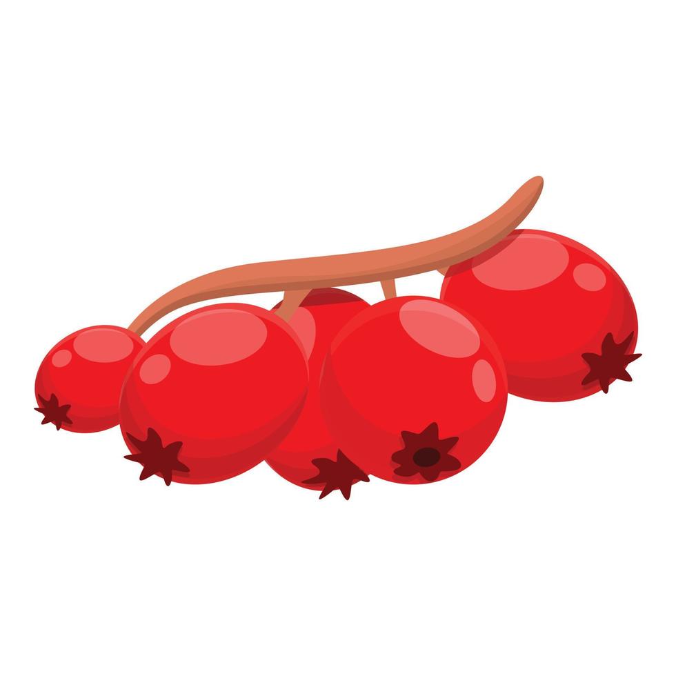 Hawthorn berry icon, cartoon style vector