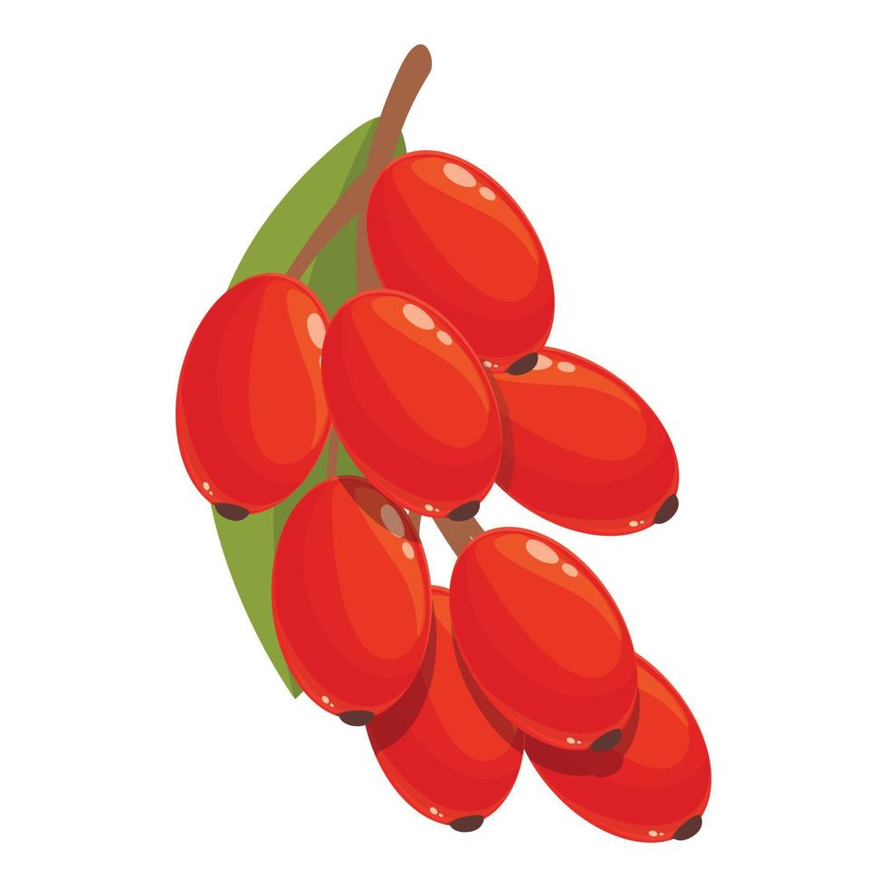 vector de dibujos animados de icono de agracejo dulce. fruta goji