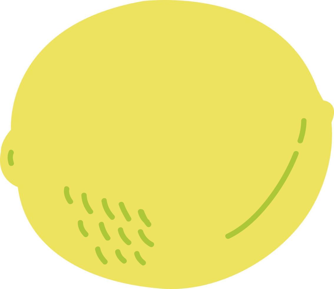 Hand drawn style fruit lemon vector