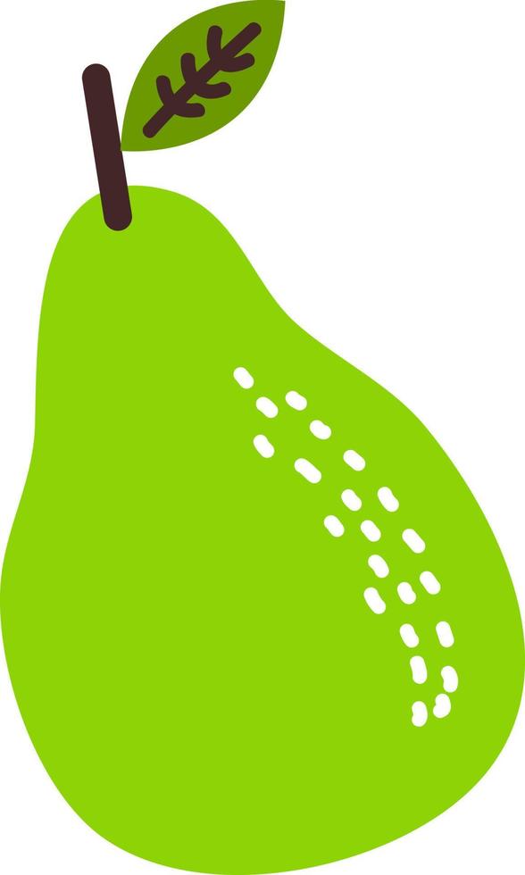 Hand drawn style fruit avocado vector