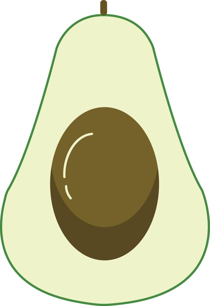 Hand drawn style fruit avocado vector