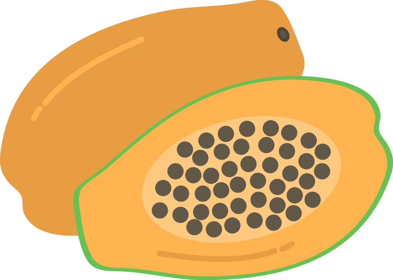 Hand drawn style drawing pawpaw vector