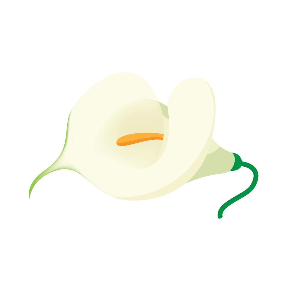 White calla icon, cartoon style vector