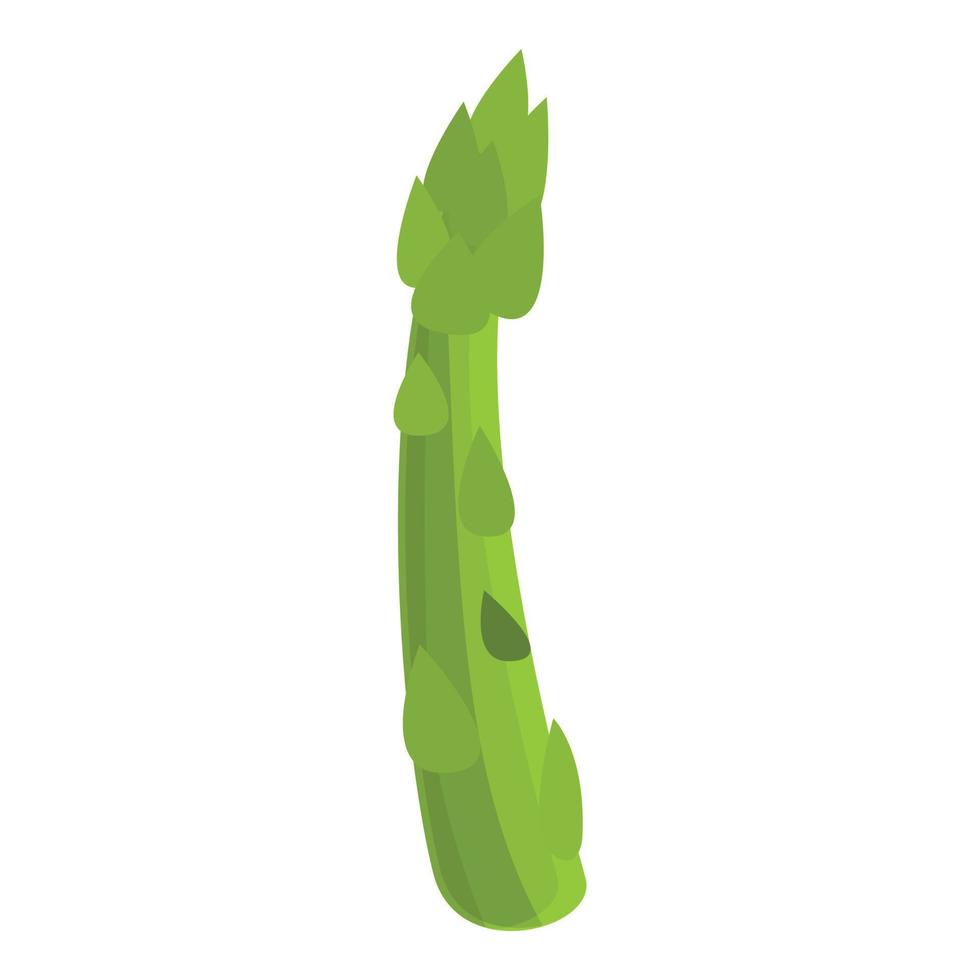 Diet asparagus icon, cartoon style vector