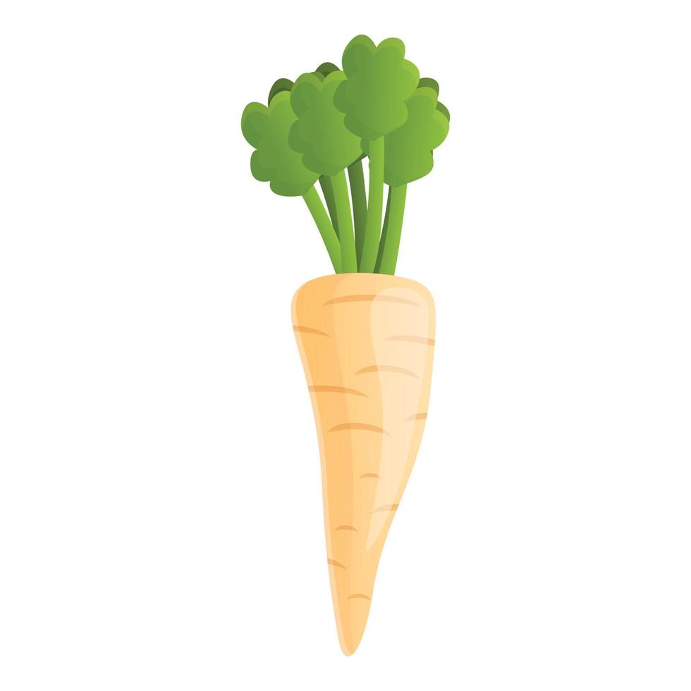 Vitamin parsnip icon, cartoon style vector