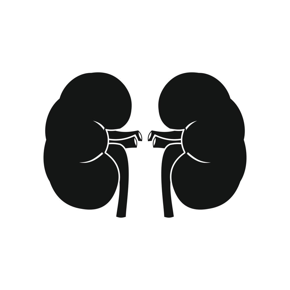 Human kidney black icon vector