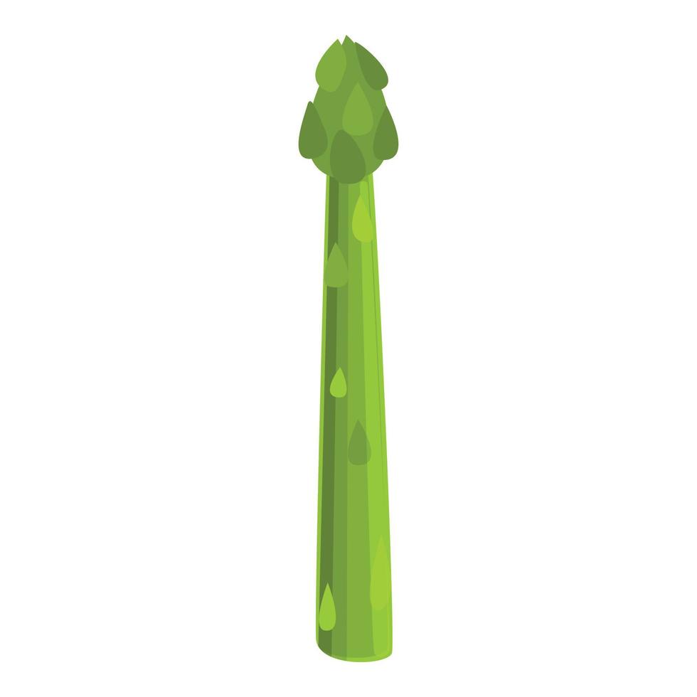 Ripe asparagus icon, cartoon style vector