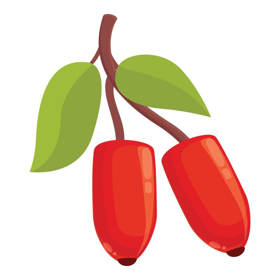 Barberry plant icon cartoon vector. Goji fruit vector