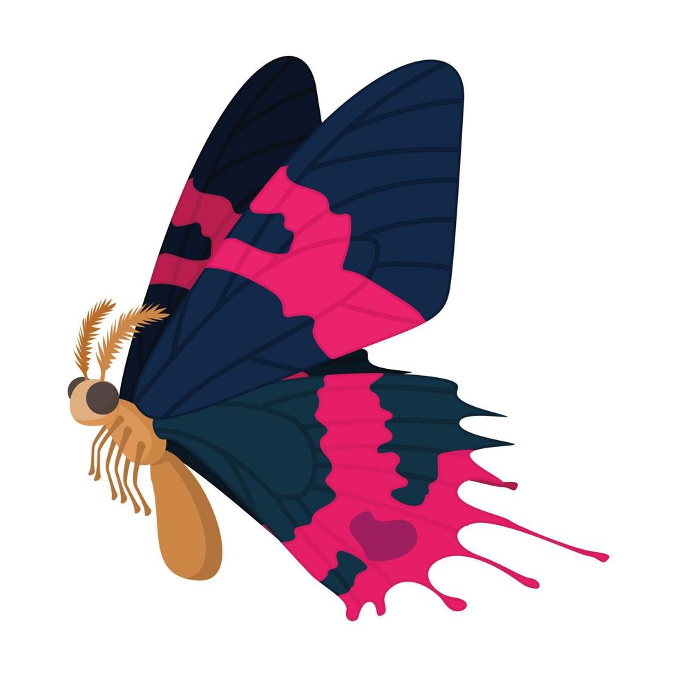 Dark blue-pink butterfly icon, cartoon style vector