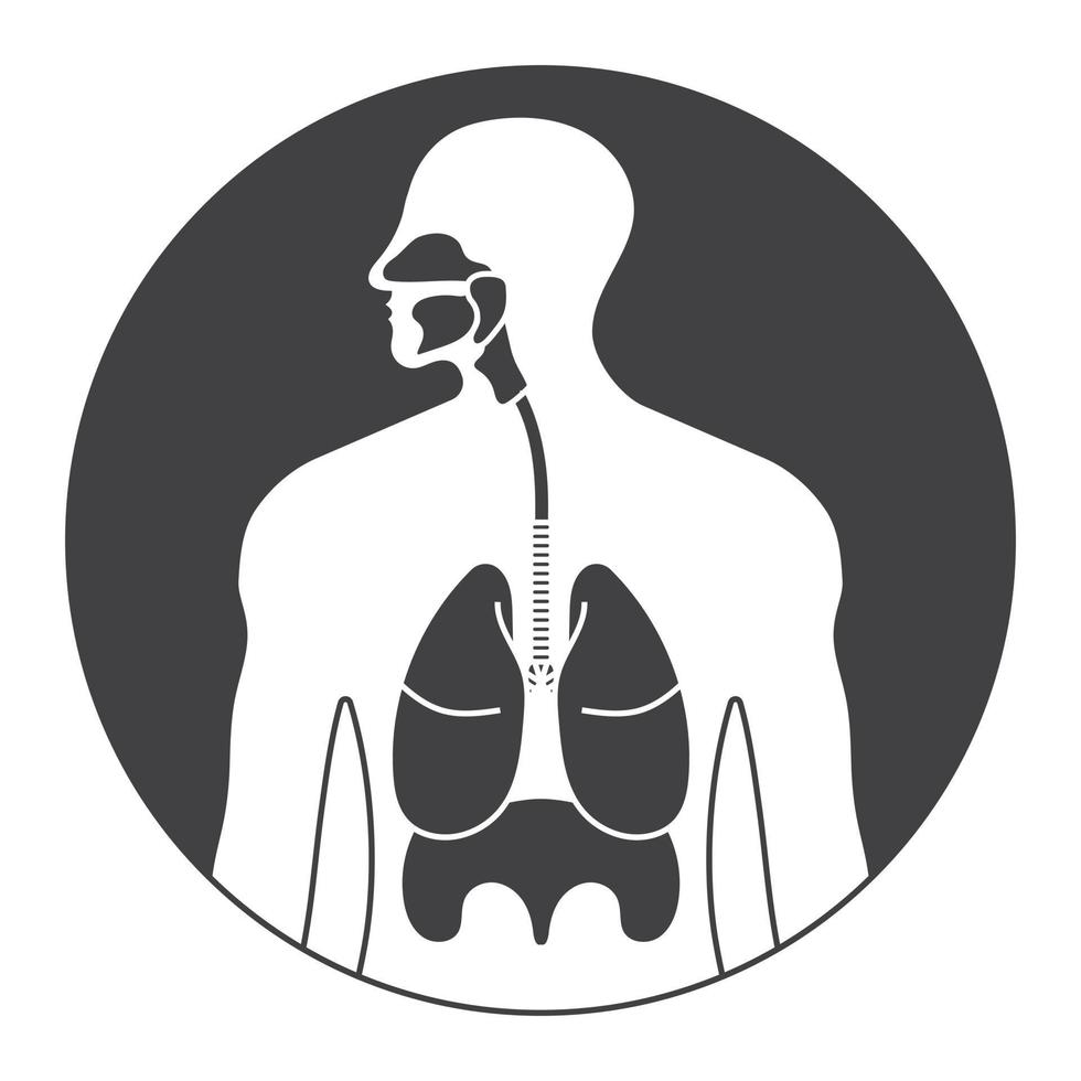 redondeó el sistema respiratorio humano o el icono plano del tracto respiratorio para aplicaciones y sitios web vector