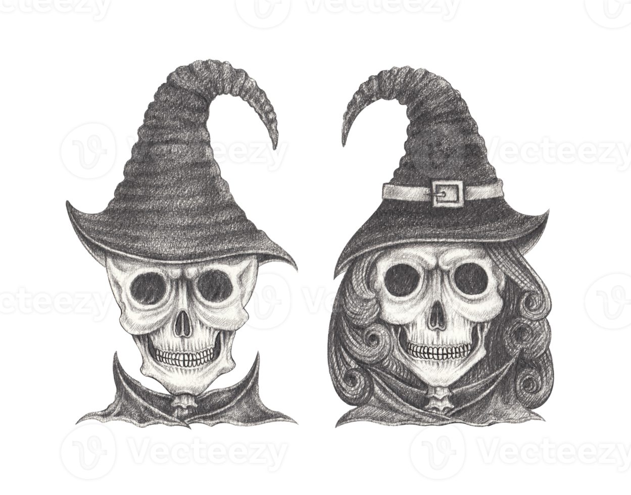 Art fancy couple witch and wizard skulls. Hand drawing on paper. png