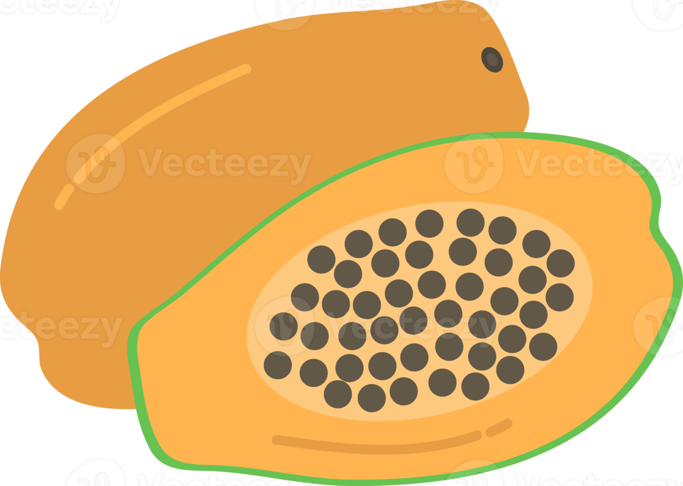 hand dragen stil teckning papaya png