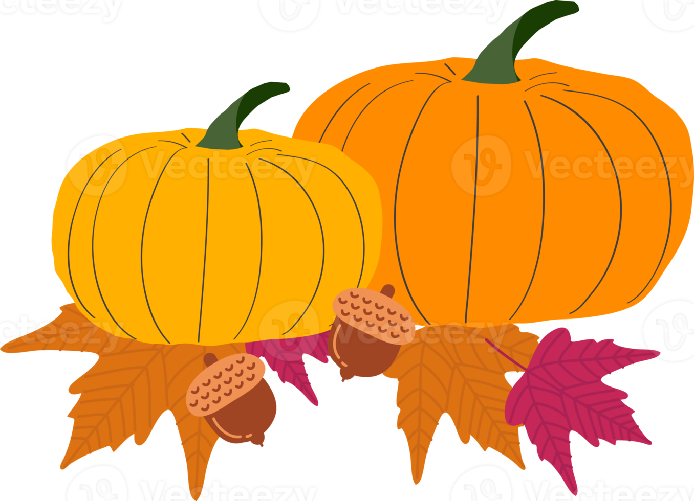 Thanksgiving Turkey Pumpkin Maple Leaf png
