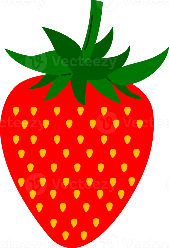 fraise de dessin de style dessiné à la main png