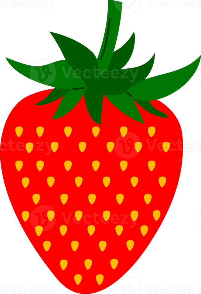 Hand drawn style drawing strawberry png