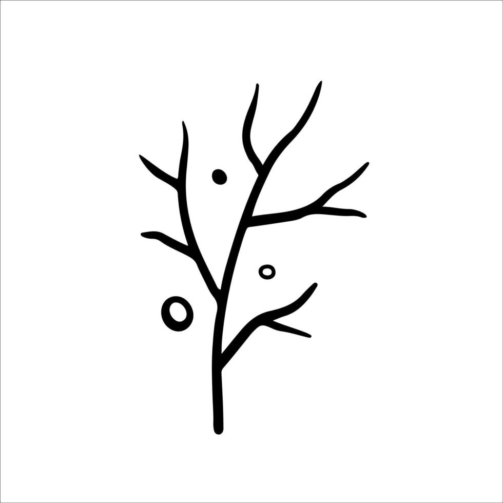 Hand drawn tree branch, autumn element. Vector illustration in Doodle style. Isolated on white.