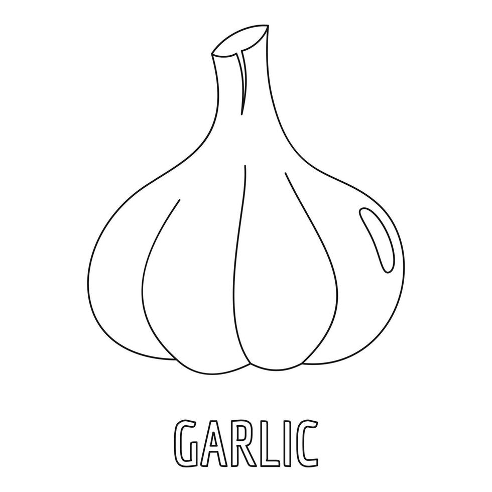 Garlic icon, outline style. vector