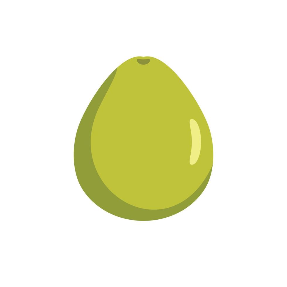 Pomelo icon, flat style vector