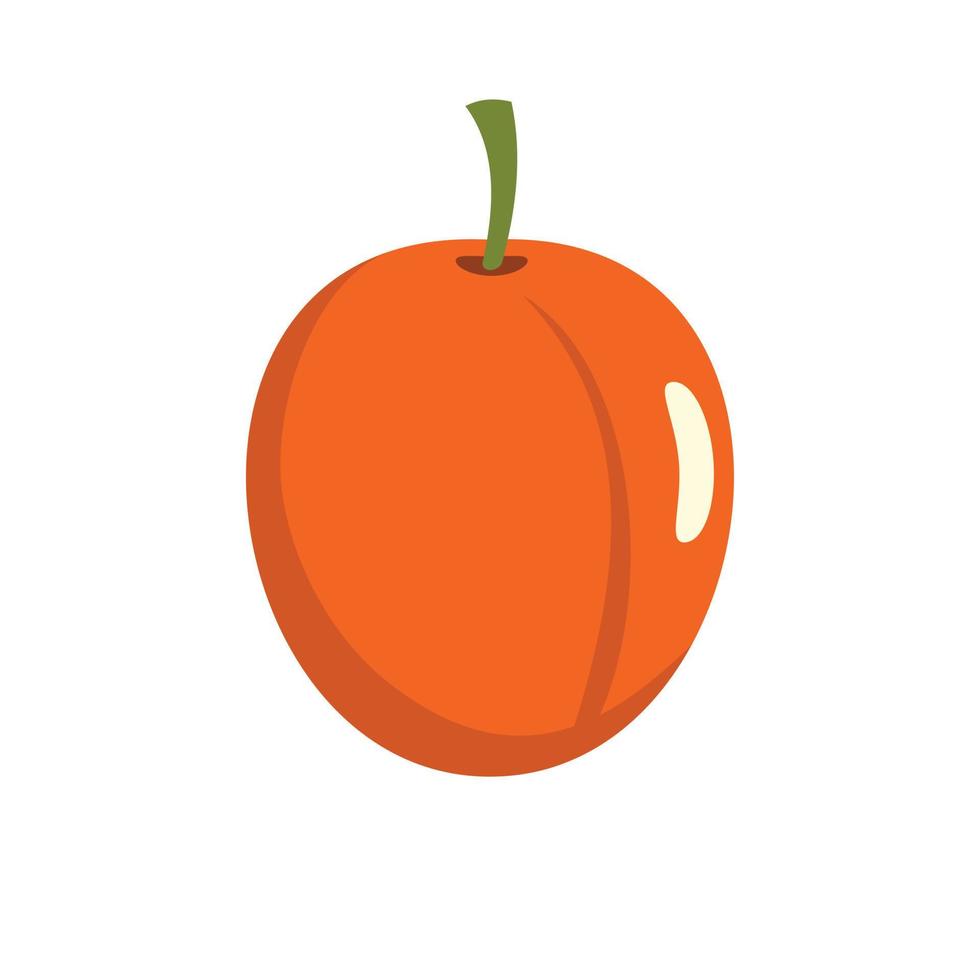 Apricot icon, flat style vector