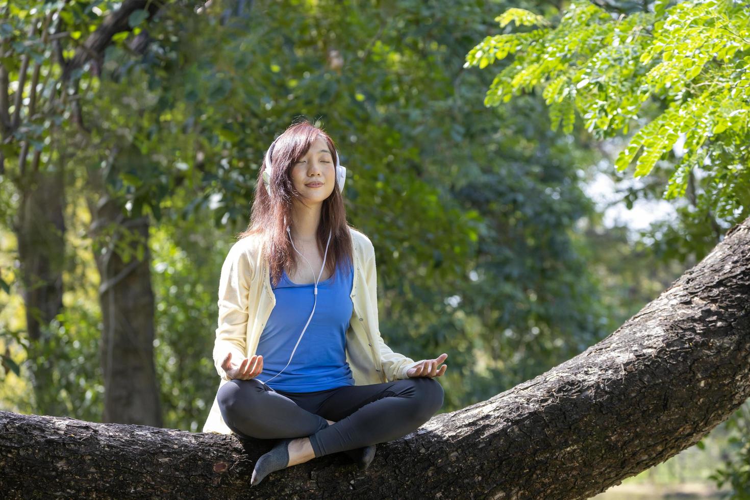 joven asiática meditando mientras se sienta en la rama de un árbol maduro escuchando el sonido de la naturaleza desde su teléfono móvil en el bosque para el yoga y el concepto de práctica de meditación de paz interior foto