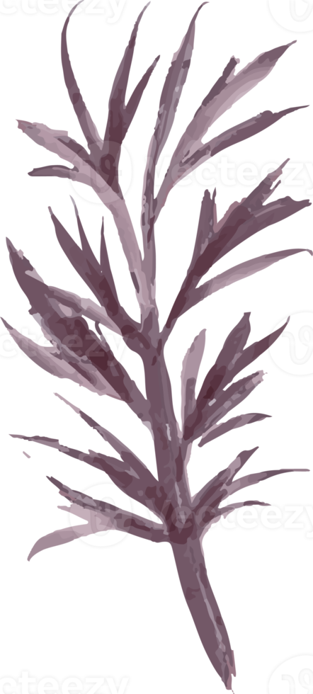 isolated brown watercolor leaves illustration png