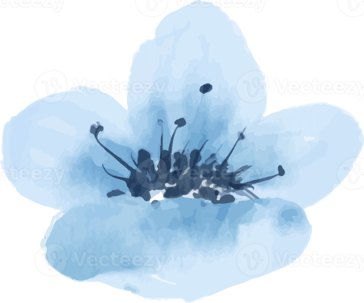 isolated blue watercolor flower illustration png