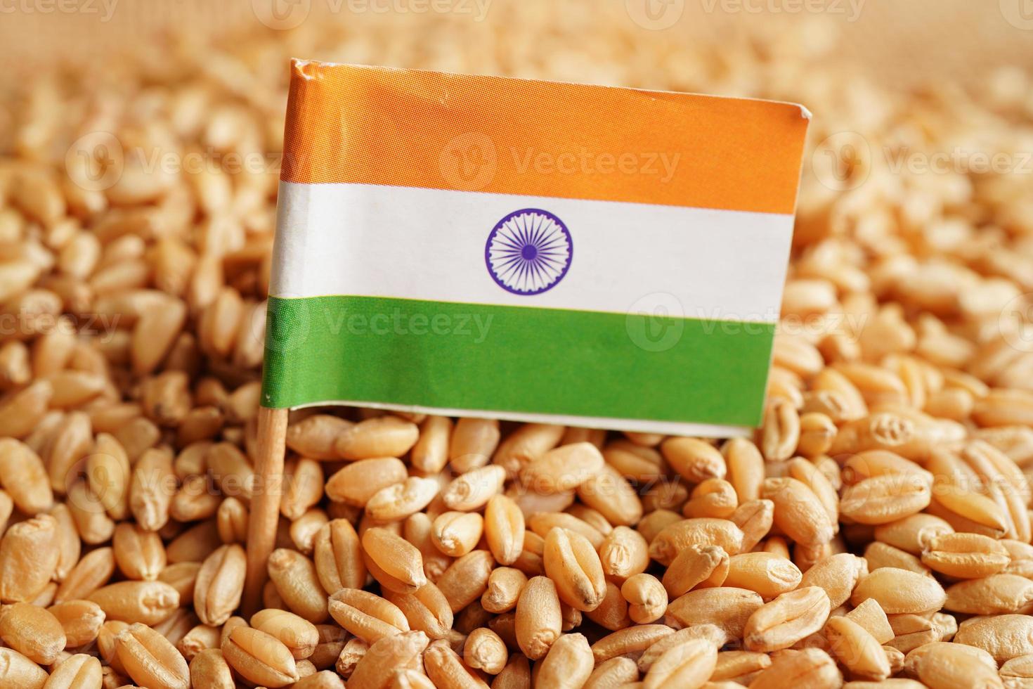 India on grain wheat, trade export and economy concept. photo