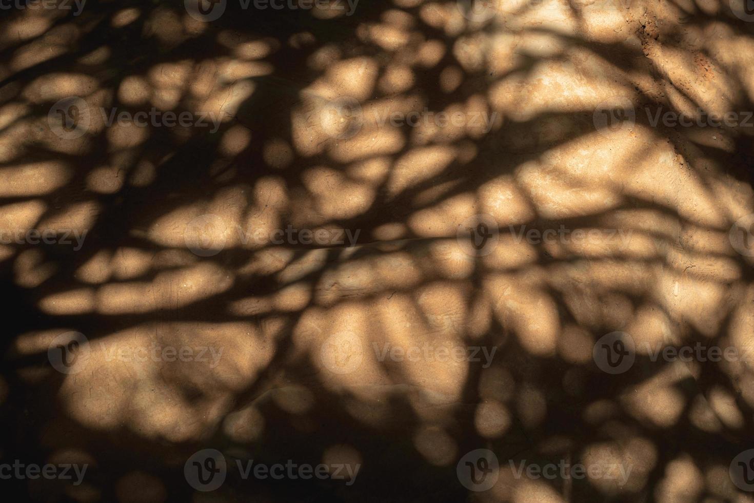 Soil floor texture with special light shadow of trees. photo