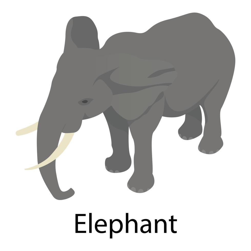 icono de elefante, estilo isométrico vector