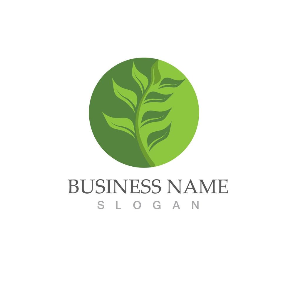 Logos of green tree leaf ecology vector