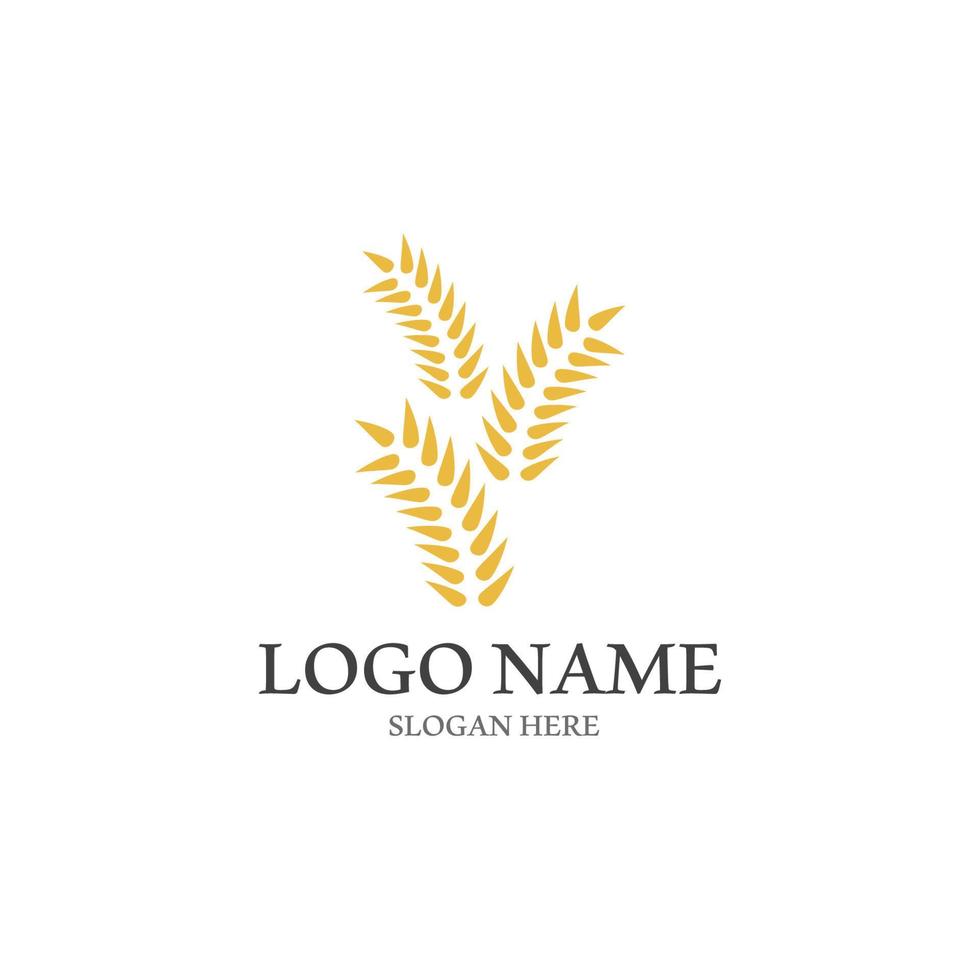 Wheat logo vector icon illustration